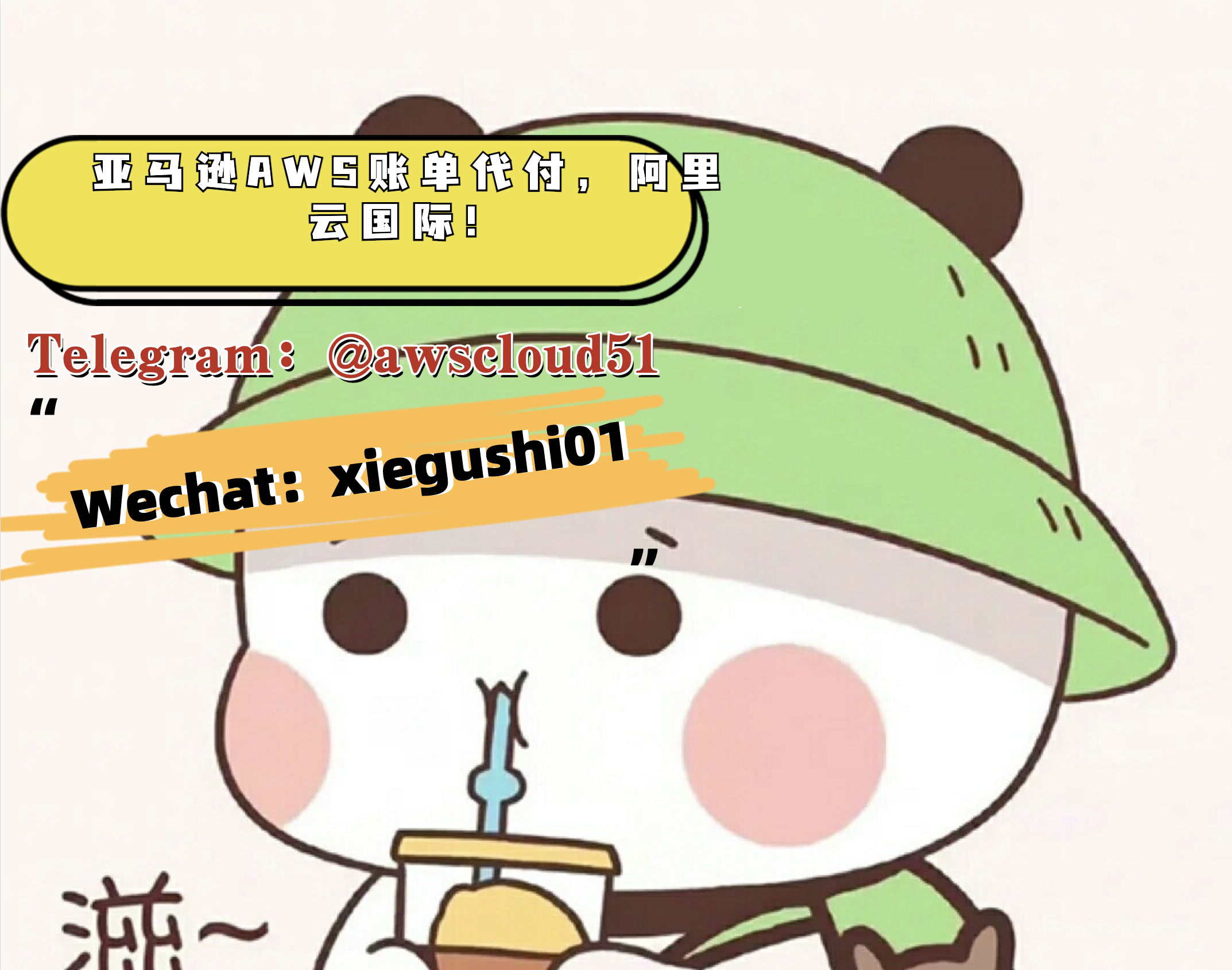 AWS亚马逊云海外账号代充值代付款账单代付